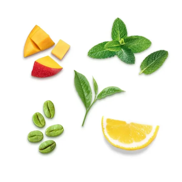 herby-haftalik-fit-cay-icindekil Herby Yeşil Kahve Çekirdekli Fit Çay