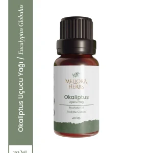 Okaliptus Yağı 20 ML (Dev Boy) - Kış İçin Doğal Ferahlık ve Nefes Tazeleyici Etki